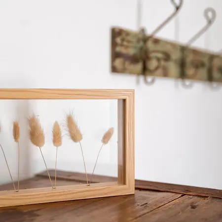 別荘 Il Conte E La Contessa Sennori